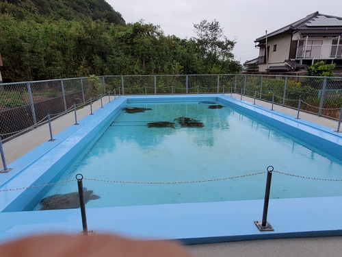 ユニークな話題の廃校水族館 ユニークな話題の廃校水族館