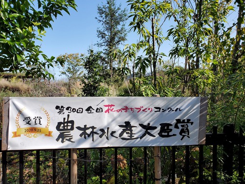 ランチより仏生山の森ガーデン ランチより仏生山の森ガーデン