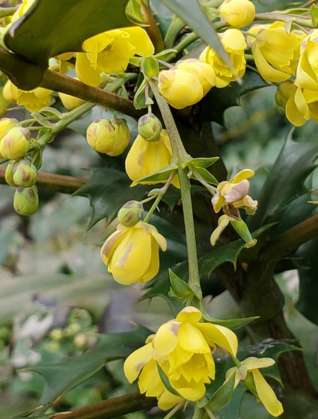 花の想いを感じながら・・・ 花の想いを感じながら・・・