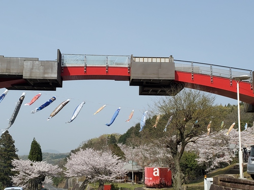 ワタシのハートは、桜色(笑) ワタシのハートは、桜色(笑)