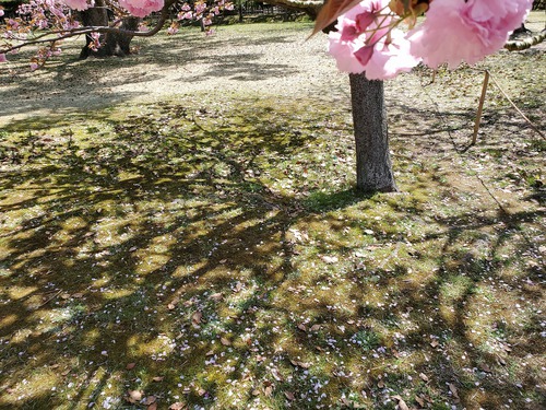 ここはどこだ~~心が洗える場所 ここはどこだ~~心が洗える場所