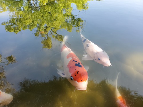 ここはどこだ~~心が洗える場所 ここはどこだ~~心が洗える場所