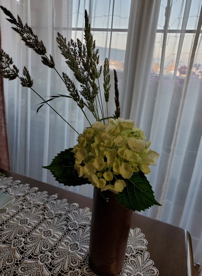 雑草もそれなりに素敵 雑草もそれなりに素敵