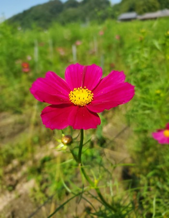 今日は、小さな喜びの日だった。 今日は、小さな喜びの日だった。