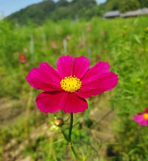 秋の夜長は、くだらないことを考える。 秋の夜長は、くだらないことを考える。