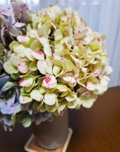 今日は、ちょっと心にひっかかるぐうたら日だった。 今日は、ちょっと心にひっかかるぐうたら日だった。
