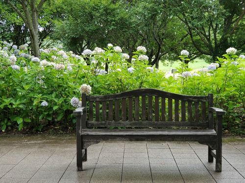 誰もいない公園で・・・ 誰もいない公園で・・・