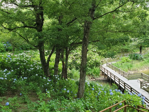 誰もいない公園で・・・ 誰もいない公園で・・・