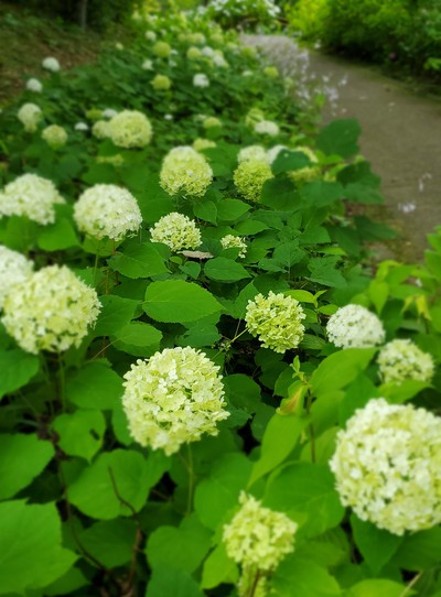 誰もいない公園で・・・ 誰もいない公園で・・・