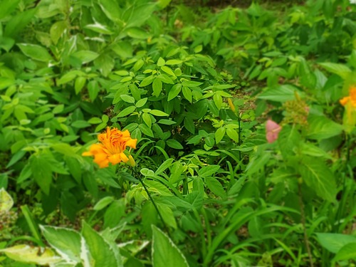 誰もいない公園で・・・ 誰もいない公園で・・・