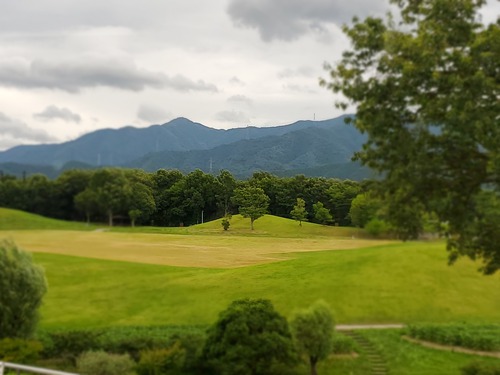 誰もいない公園で・・・ 誰もいない公園で・・・