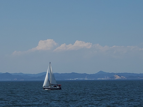 海を眺めながらの気晴らしランチ 海を眺めながらの気晴らしランチ