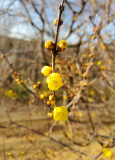 お別れの言葉「好きだったよ~」 お別れの言葉「好きだったよ~」