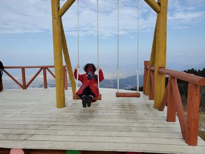 ミーハーのふたり、天空のブランコに乗る。 ミーハーのふたり、天空のブランコに乗る。