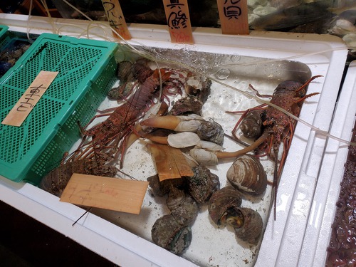 ふたり大喜びの新年会でなくて忘年会 ふたり大喜びの新年会でなくて忘年会
