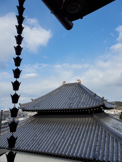 郷照寺で地球の厄除けを祈った。 郷照寺で地球の厄除けを祈った。