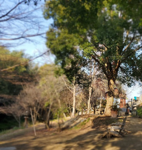 喜んでいいのかどうか?ランチは貸し切り状態 喜んでいいのかどうか?ランチは貸し切り状態