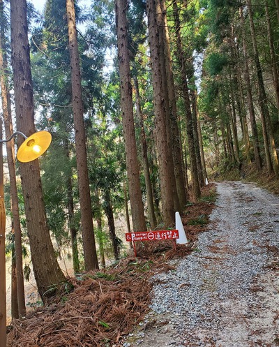 山の上のお洒落なカフェ「loving」 山の上のお洒落なカフェ「loving」