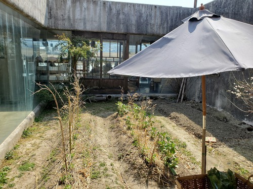 6年半ぶりに行った汐さぎ庵 6年半ぶりに行った汐さぎ庵