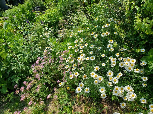 ゆっくりと花物語は、「いやしはうす」 ゆっくりと花物語は、「いやしはうす」