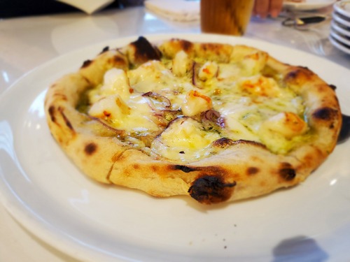 カジュアルなイタリアンコース料理 カジュアルなイタリアンコース料理
