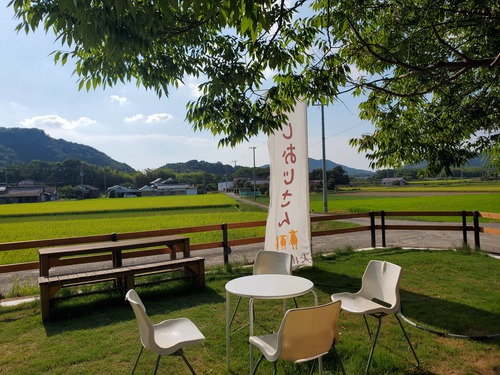 今日のソフトクリームは、うしおじさんで 今日のソフトクリームは、うしおじさんで