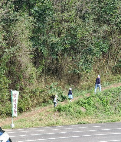 栗拾い体験に行く。 栗拾い体験に行く。