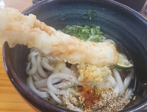 肉うどんとちくわ天ぷらうどん 肉うどんとちくわ天ぷらうどん