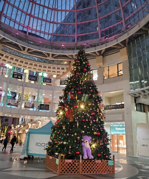 幸せの象徴かな?クリスマスツリー 幸せの象徴かな?クリスマスツリー