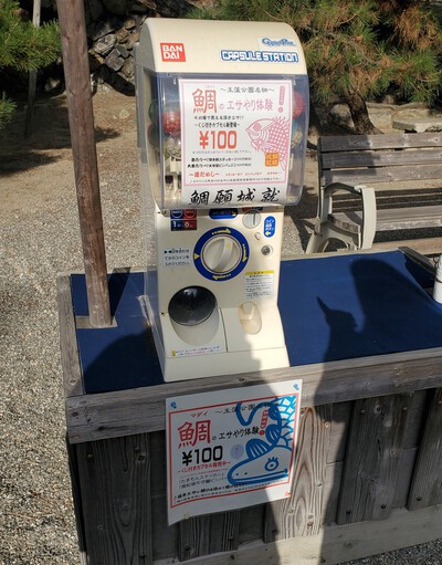 玉藻公園からトレジャ~~、孫と過ごした一日 玉藻公園からトレジャ~~、孫と過ごした一日