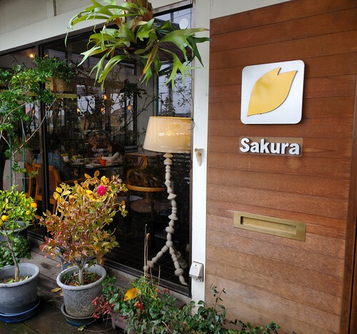 ハイキング気分の一日、ランチはカフェテラスSakura ハイキング気分の一日、ランチはカフェテラスSakura
