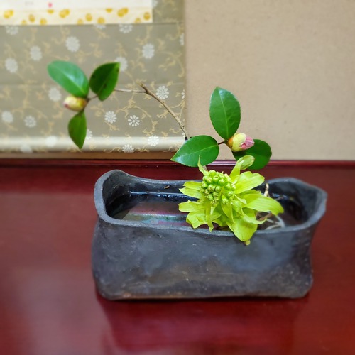 しつらいが素晴らしい「侘助」 しつらいが素晴らしい「侘助」