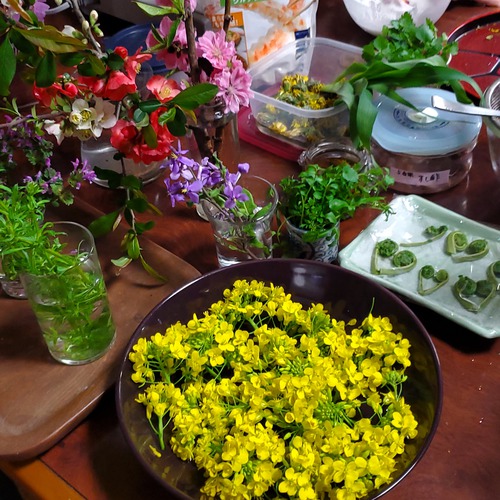 「春の草花ままごと時間」その二 「春の草花ままごと時間」その二