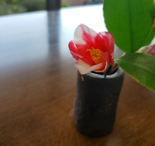 見上げた人に再会 見上げた人に再会