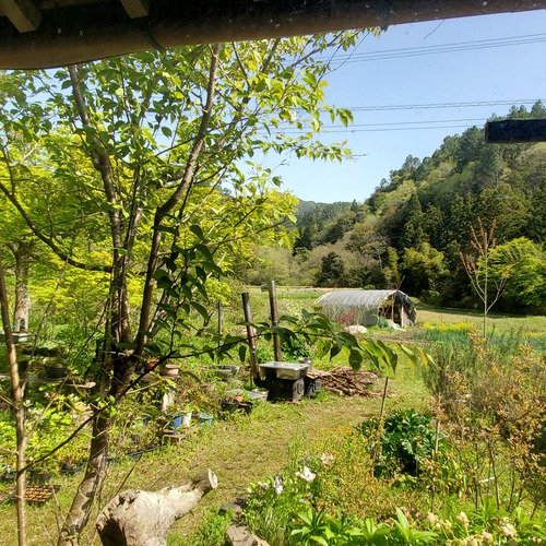山の中の一軒家「のうさぎカフェ」 山の中の一軒家「のうさぎカフェ」
