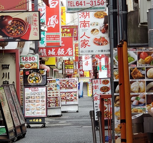 早朝散歩で見たもの 早朝散歩で見たもの