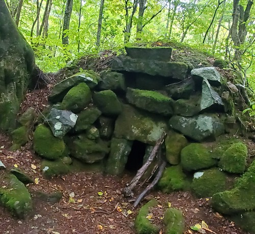 鳥海山麓の神秘なブナの森を歩く。 鳥海山麓の神秘なブナの森を歩く。