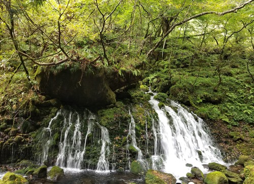 湧き水がつくる滝、毎日5万トンの湧き水 湧き水がつくる滝、毎日5万トンの湧き水