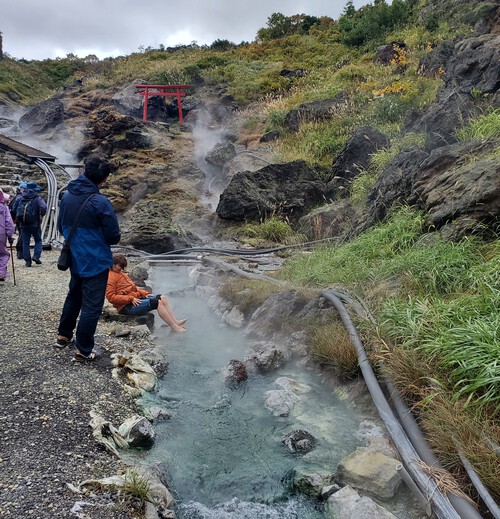栗駒山麓の名残ヶ原湿原を歩く。 栗駒山麓の名残ヶ原湿原を歩く。