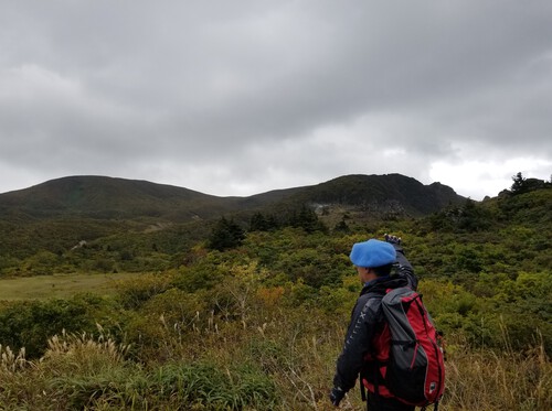 栗駒山麓の名残ヶ原湿原を歩く。 栗駒山麓の名残ヶ原湿原を歩く。