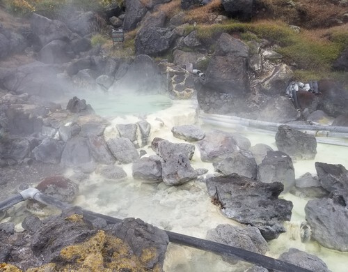 栗駒山麓の名残ヶ原湿原を歩く。 栗駒山麓の名残ヶ原湿原を歩く。