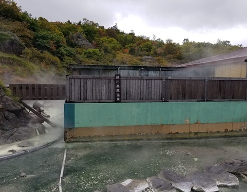 栗駒山麓の名残ヶ原湿原を歩く。 栗駒山麓の名残ヶ原湿原を歩く。