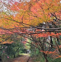 讃岐の小京都のような美しい紅葉