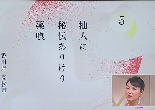NHK俳句の特選はすごいらしい NHK俳句の特選はすごいらしい