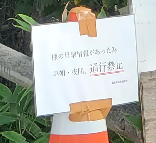 広大な釧路湿原を一望 広大な釧路湿原を一望