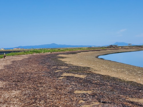 この世の果てのトドワラと野付半島 この世の果てのトドワラと野付半島