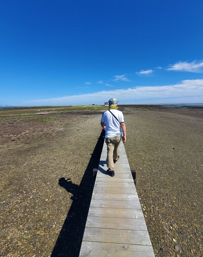 この世の果てのトドワラと野付半島 この世の果てのトドワラと野付半島