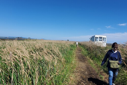 この世の果てのトドワラと野付半島 この世の果てのトドワラと野付半島
