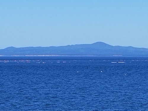 この世の果てのトドワラと野付半島 この世の果てのトドワラと野付半島