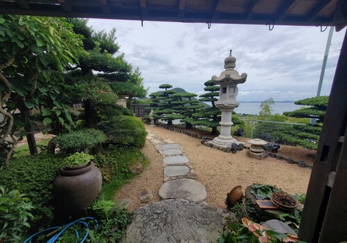 何年かぶりの花ぼんぼり 何年かぶりの花ぼんぼり